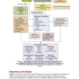 Understanding Pathophysiology 7th Edition PDF Instant Download