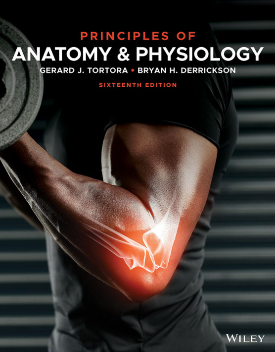 Principles of Anatomy and Physiology 16th Edition