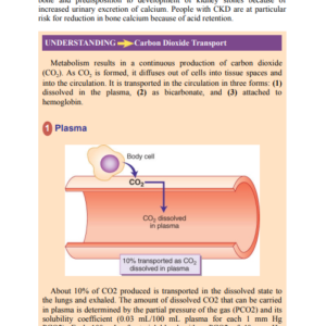 Porth’s Essentials of Pathophysiology 5th Edition PDF
