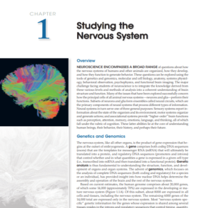 Neuroscience 6th Edition Dale Purve PDF