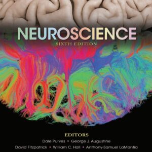 Neuroscience 6th Edition Dale Purve PDF
